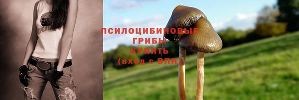 марки lsd Бронницы